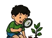 A boy studying a plant through a magnifying glass